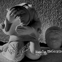 Indie Stress - Cover artwork